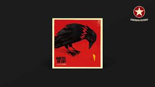 Birth Of Joy - Prisoner (Audio)