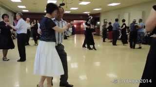 Tiger Eye Tango Sequence Dance @ ScalewingsNZ 2014