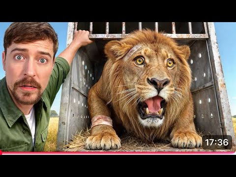 I SAVED 1000 ANIMALS FROM DYING