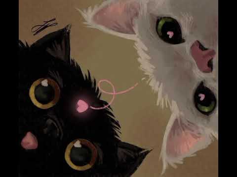 Murart e Revna - Samba paixâo