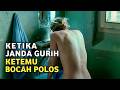 AWALNYA CUMA NGINTIP LAMA LAMA PINGIN NYICIPIN ALUR CERITA FILM