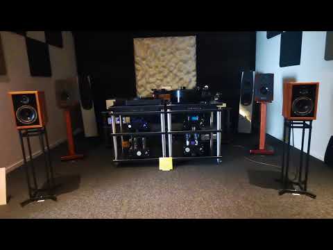 Audion 300B SE 推 MAD 1920 10TH ALE