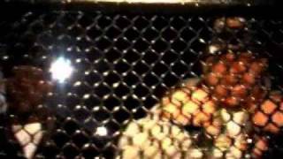 D-Block - Let It Go ft Team Arliss,Bully, Don-D,Ty & Buckey (Official Music Video)