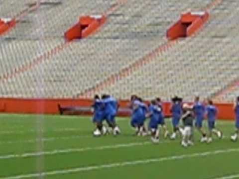 YELS at the SWAMP - University of Florida