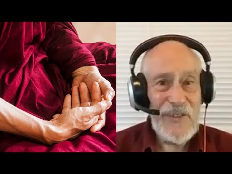 Becoming a monk with Shinzen Young  |  Living Mirrors #36 clips