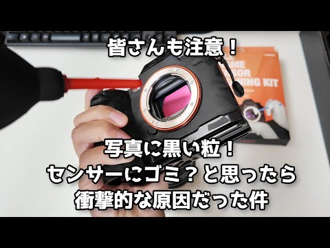 iPhone のセンサー: 黒い点はどれが実際に何をしているのでしょうか?