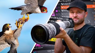 Make Your Autofocus UNSTOPPABLE – MUST-CHANGE Settings for Canon, Nikon & Sony