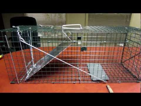 IIT Folding Animal Trap Sensitivity Adjustment Item # 44320