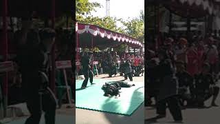 Download lagu Pencak Silat Panglipur Galuh Cijulang Pangandaran mp3