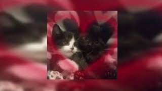 Cover art for Things to do