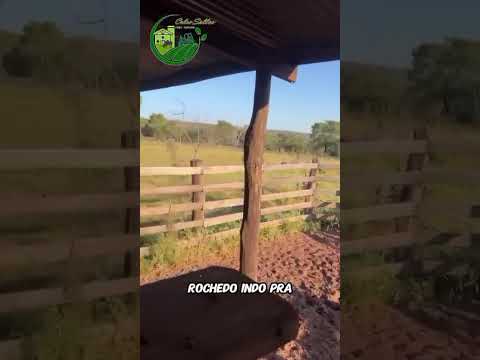 Fazendas a venda em Mato Grosso do sul