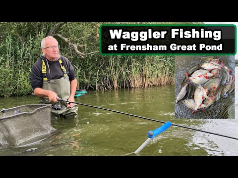 Waggler fishing at Frensham