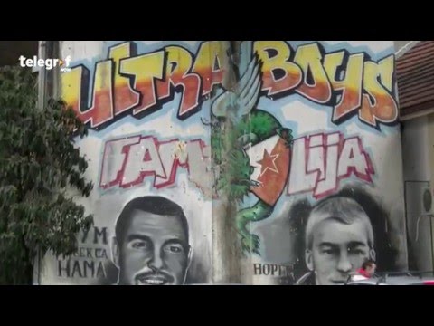 Kotež je ceo crveno-beo: Delije grafitima iskazuju ljubav prema Zvezdi