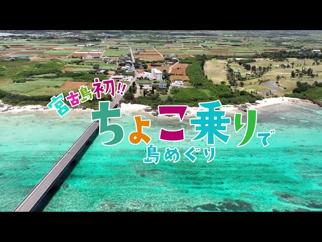 SEACOM（シーコム）