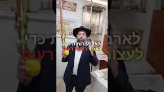 איך מנענעים בלולב? הרב שלמה בצרי - שתפו חברים