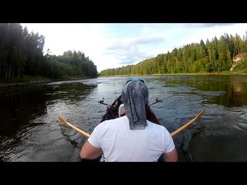 Tärppi Topo-vaappuun kokemäenjoella n.10kg Lohi J-king fishing team Aku ja Tero KKK