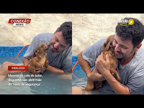 Vídeo: Mesmo no colo do tutor, doguinho não abre mão do ‘nado de segurança’.