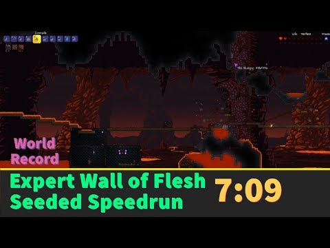Speedrun: Expert Wall of Flesh 7:09 Seeded Speedrun WR