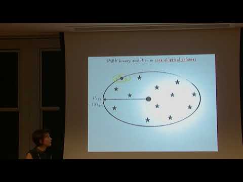 Dynamical friction and ...the final hundred-parsec problem