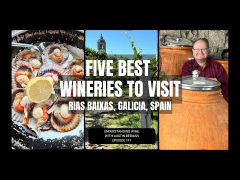 Five Best Wineries to Visit in Rias Baixas, Spain.  Albarino.