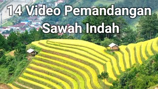Download lagu 14 Video Pemandangan Sawah indah mp3