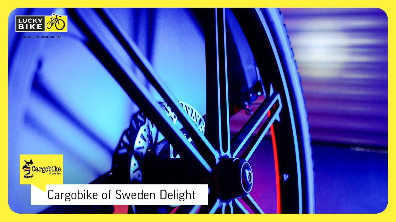 CARGOBIKE OF SWEDEN DELIGHT REVIEW | Perfekter Autoersatz?