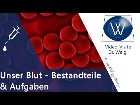 Wozu brauchen wir Blut? Aufgaben & Funktionen rote Blutkörperchen, Thrombozyten & Blutplasma