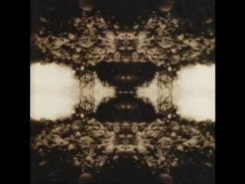 Teargas & Plateglass - Simplify The Landscape With Darkness (Black Triage 2007)