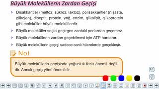 Eğitim Vadisi TYT Biyoloji 4.Föy Canlılığın Temel Birimi Hücre I (3) Aktif Taşıma, Endositoz ve Ekzositoz Konu Anlatım Videoları