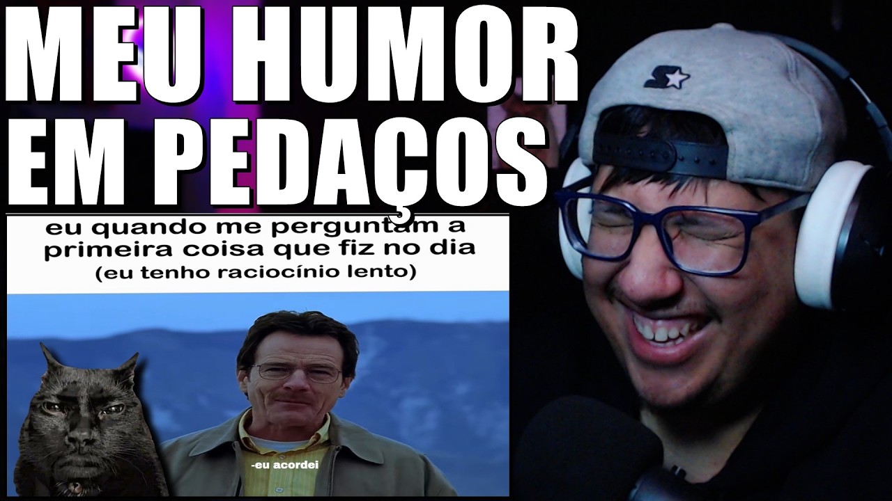 memes LITERAIS estão quebrando meu HUMOR 😭