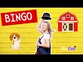 Bingo Songs For Babies Toddlers And Preschool Sing Dance And Learn With Music Teacher Cosima