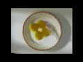 Eggo SpongeBob Commercial 2004