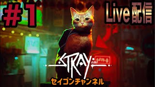 【Live配信】 #1 ストレイ(気ままな猫散歩)