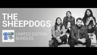 THE SHEEPDOGS Rosalie