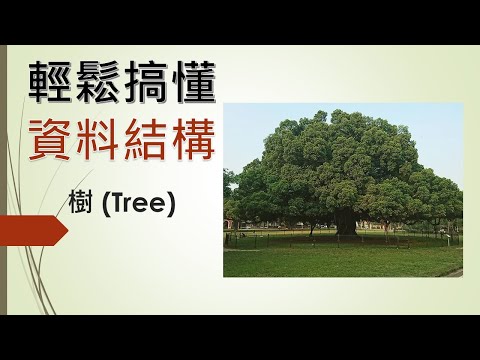 樹圖