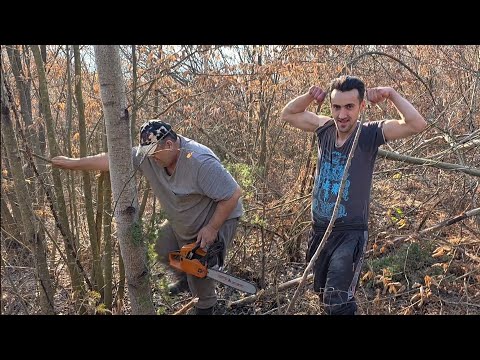 NEMA PREPREKA: Ibrin Rubin u šumi gazi sve pred sobom!