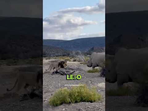 MITOS sobre os ANIMAIS que enganaram TODO MUNDO