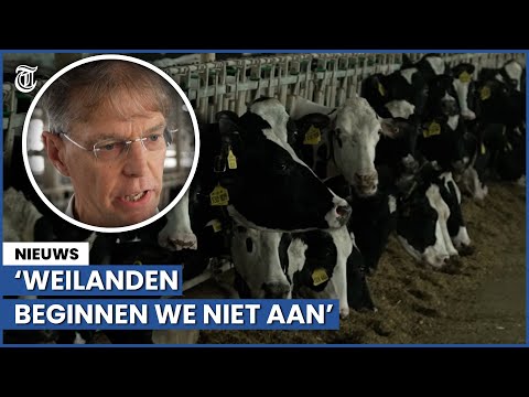 Piet runt megaboerderij in Qatar: ‘Stikstof is Nederlands probleem’