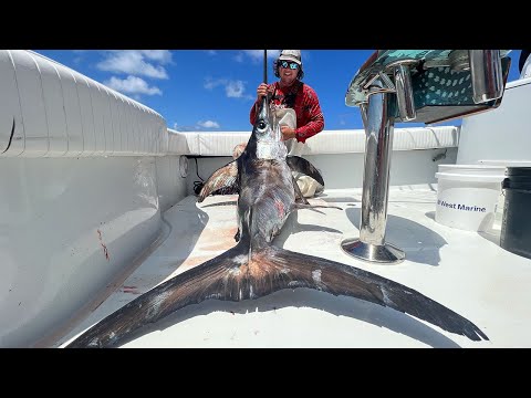 Daytime Sword Fishing Explained