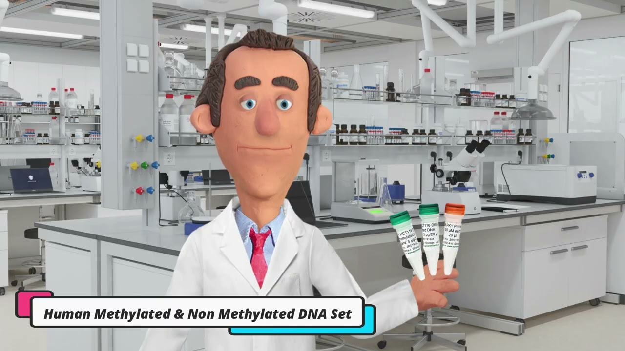 Human Methylated & Non-Methylated DNA Set