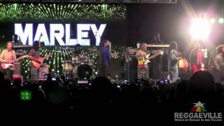 Damian, Stephen & Julian Marley - Intro / Is This Love @ 9 Mile Music Festival 3/3/2012