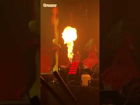 20200111 Flamenco Hoony Solo