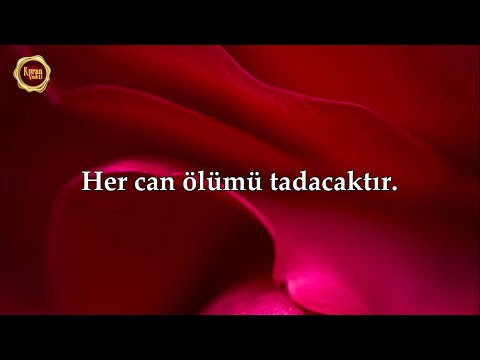 Ankebut Suresi -  Sherif Mostafa