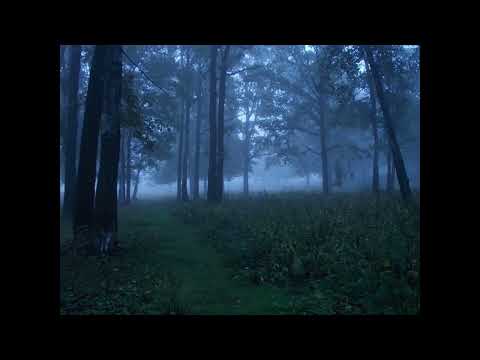 [free] acoustic guitar + midwest emo + guardin type beat - "of us"