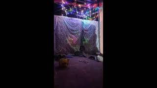 Pitbull cute dog #pitmonsters