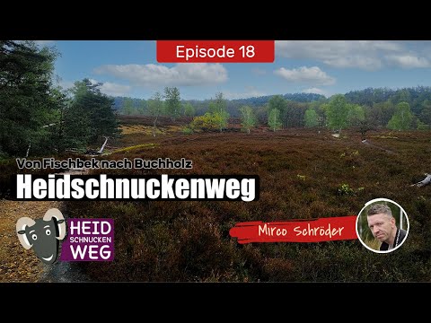 Wandern auf dem Heidschnucken-Weg : Etappe 1 - Von Fischbek nach Buchholz | Wanderung Niedersachsen