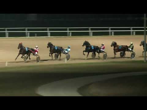 2020.12.19. 06. futam - MÉNESEK DÍJA (NÜL-X.)