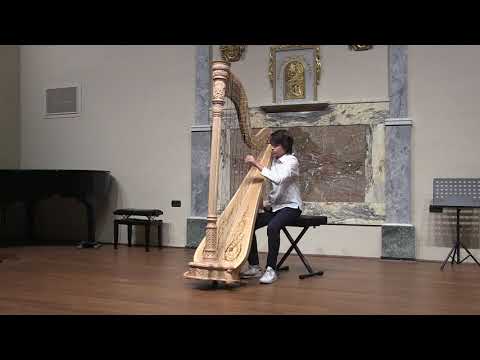 Suoni d'Arpa 2018 - Pietro Giovanni Maria Merz