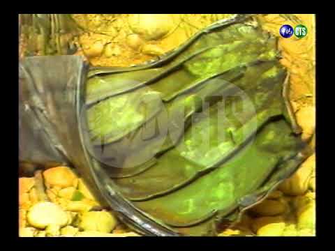 遠東航空103號班機苗栗縣三義空難