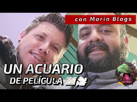 UN ACUARIO MARINO...DE PELICULA!!!  1ra Parte